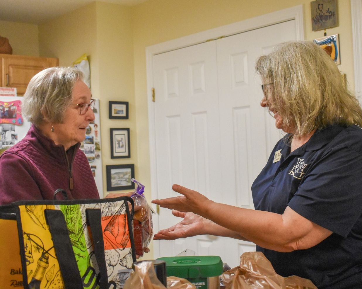 A companion staff member supports a senior at home, used in the appointment section of the Willow Brook Companion Services page in Delaware, Ohio.