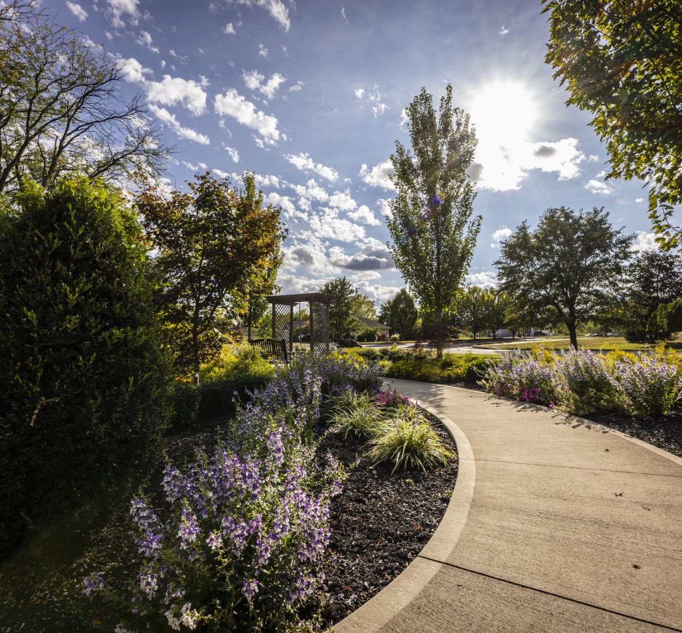 A lavender-lined walking path at Willow Brook in Delaware, Ohio, used as an inset image on the Foundation page of this senior living community.