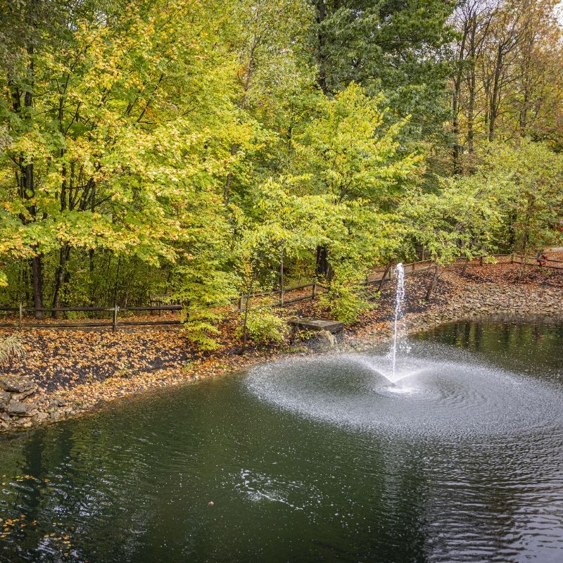 Tranquil pond and fountain on the Willow Brook campus in Delaware, Ohio, used as the mobile header for the news and events page.