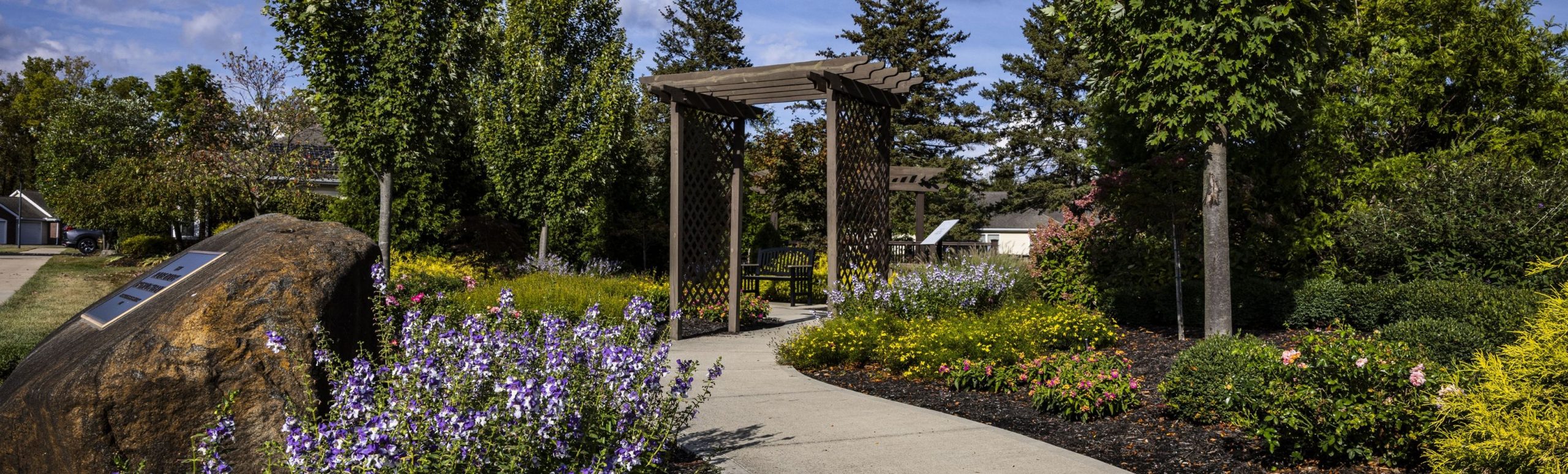 Outdoor walkway with lavender plantings on the Willow Brook Run campus in Delaware, Ohio, used as a full-width background image on the contact page.